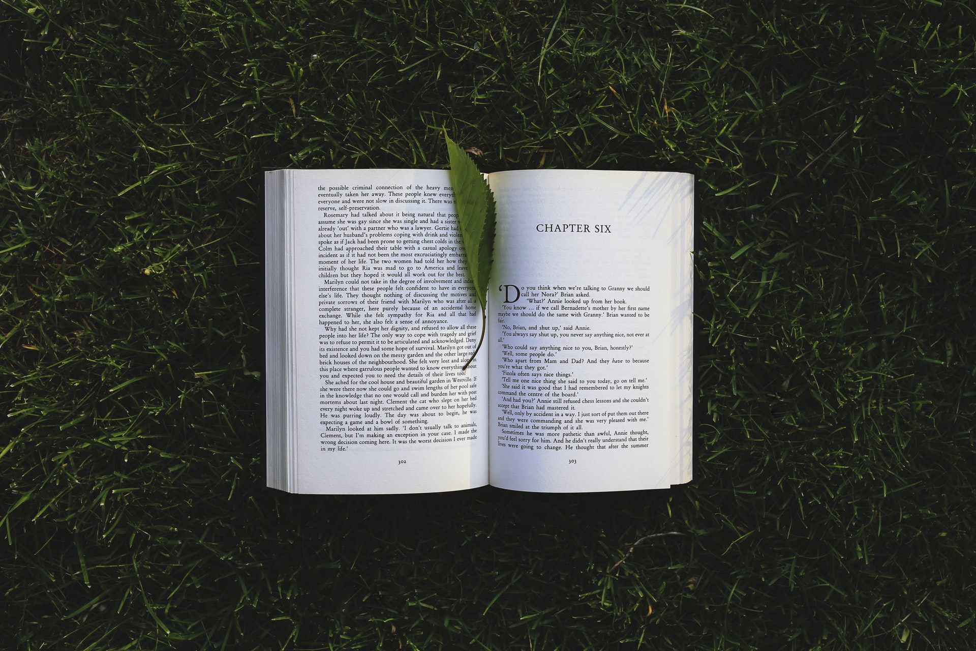 Historical Fiction Versus Non-Fiction